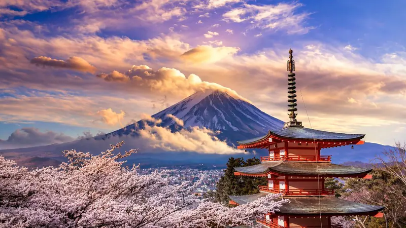 Mount Fuji Private Tour — photo from the booking listing, Mount Fuji, Kawaguchiko