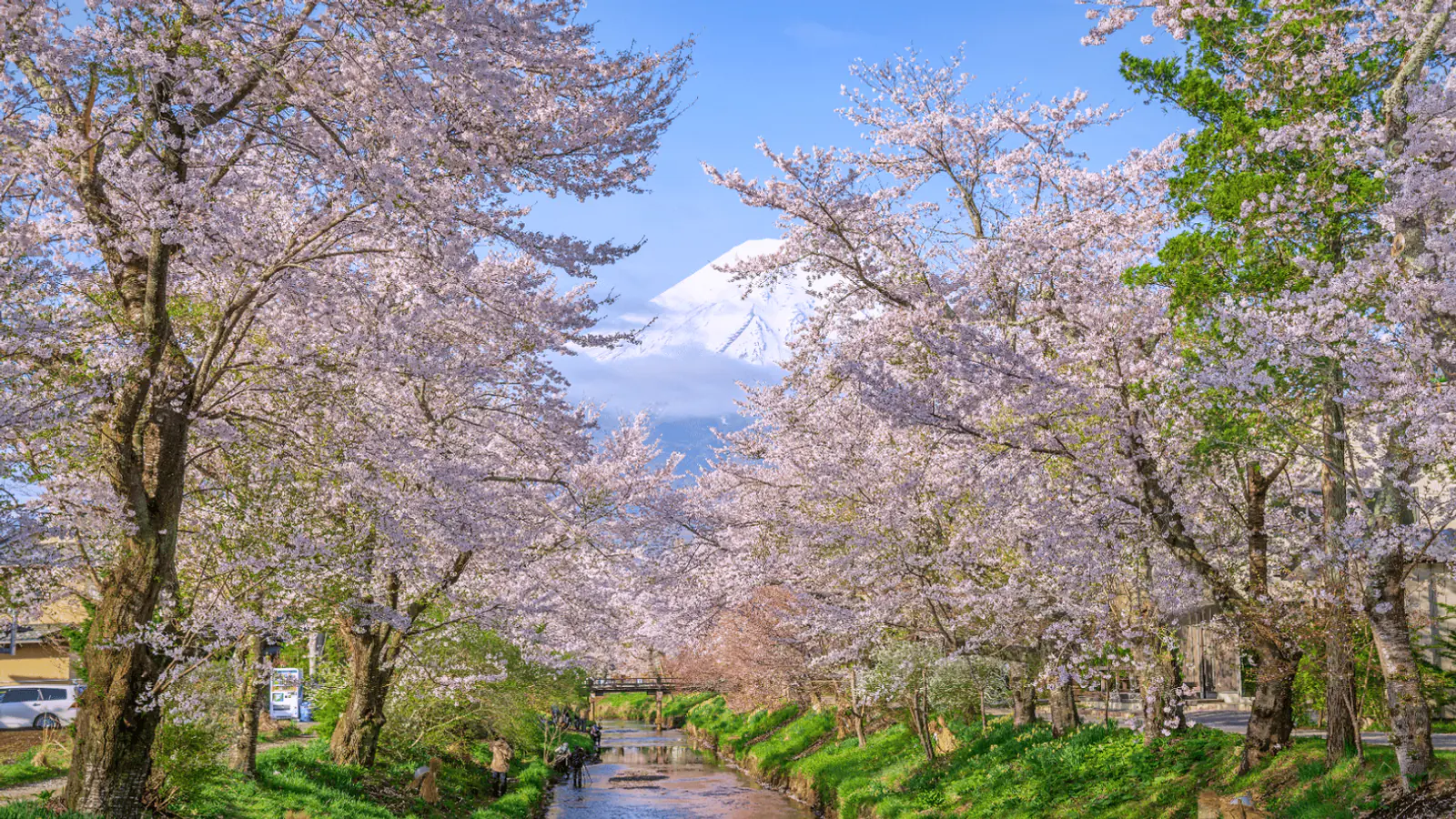 Mount Fuji Group Bus Tour from Tokyo — photo from the booking listing, Mount Fuji, Kawaguchiko