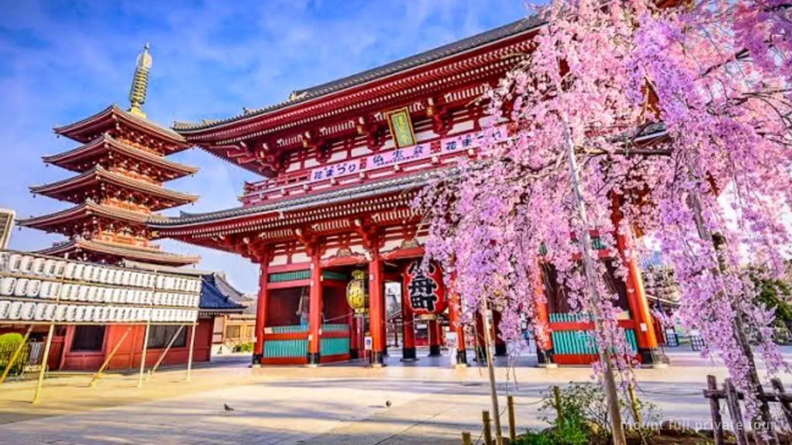 Mount Fuji Private Tour — photo from the booking listing, Mount Fuji, Kawaguchiko