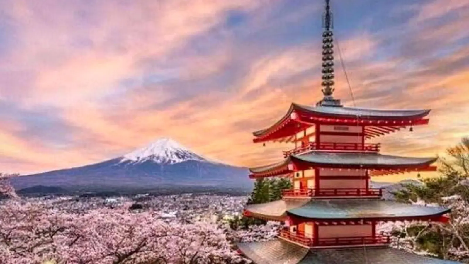 Private car and English-speaking guide on a Mount Fuji day tour with the mountain visible in the distance